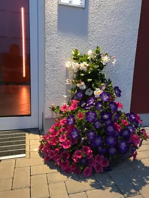 Ein Garten an der Unterkunft Ferienwohnungen am Feldrain - Gornau im Erzgebirge
