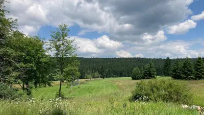 Naturlandschaft in der Nähe der Pension