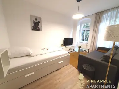 TV/Unterhaltungsangebot in der Unterkunft Ruhiges Hinterhof Apartment im Herzen der Neustadt