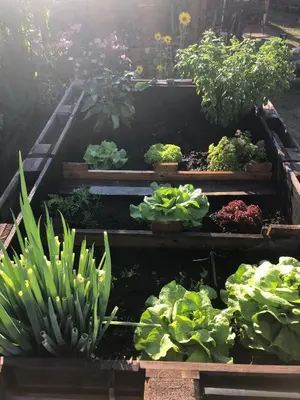 Ein Garten an der Unterkunft Ferienappartement Paula im Lausitzer Seenland