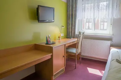 TV/Unterhaltungsangebot in der Unterkunft Hotel zur Post in Wurzen