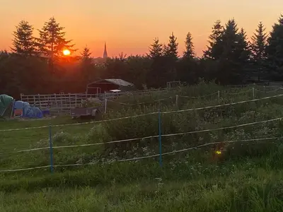 Blick auf den Sonnenuntergang/Sonnenaufgang von der Ferienwohnung aus oder aus der Nähe