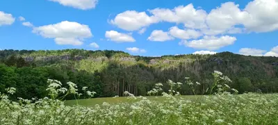 Naturlandschaft in der Nähe der Ferienwohnung