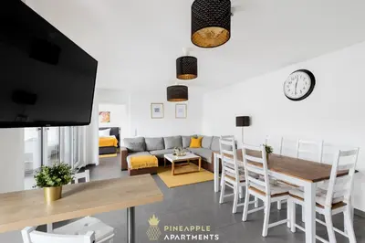 TV/Unterhaltungsangebot in der Unterkunft PINEAPPLE APARTMENTS - Zwinger VI - 98qm - 1x free parking