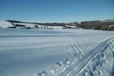 Ferienwohnung Rauscher im Winter