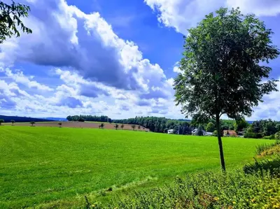 Naturlandschaft in der Nähe der Ferienwohnung