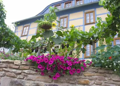 Ein Garten an der Unterkunft In der alten Weinstube