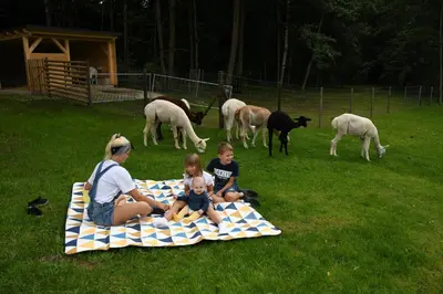 Tiere in der Ferienwohnung oder in der Nähe