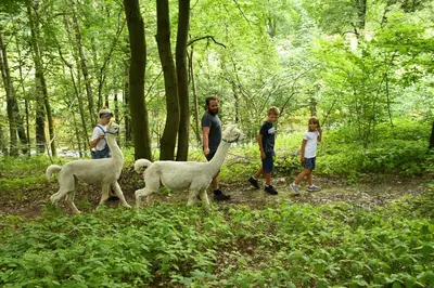 Tiere in der Ferienwohnung oder in der Nähe