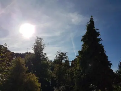 Naturlandschaft in der Nähe der Ferienwohnung