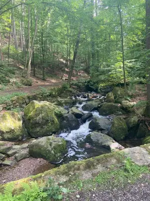 Naturlandschaft in der Nähe der Pension
