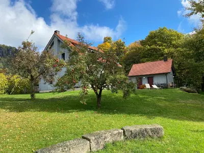 Ein Garten an der Unterkunft Waldhaus am Lilienstein