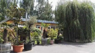 Ein Garten an der Unterkunft FeWo mit 2 Bädern und 2 Schlafzimmern