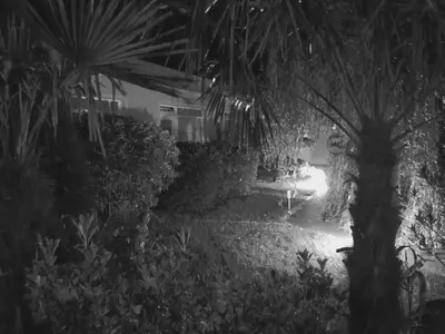 Ein Garten an der Unterkunft Ferienwohnung Bruno