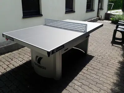 Tischtennis in der Unterkunft Majestic Stay in Deutschneudorf oder in der Nähe