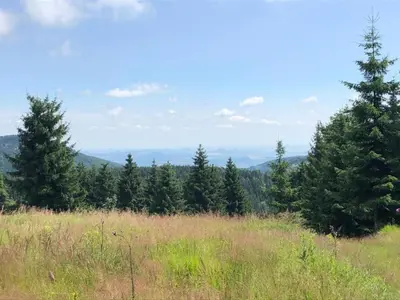 Naturlandschaft in der Nähe des Ferienhauses