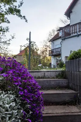 Ein Garten an der Unterkunft Gästehaus Bechtloff