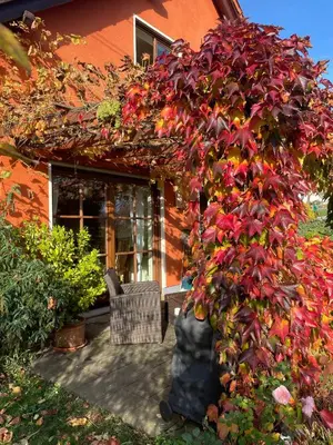 Ein Garten an der Unterkunft FeWo Wünschendorf