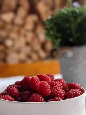 Essen in der Ferienwohnung oder in der Nähe