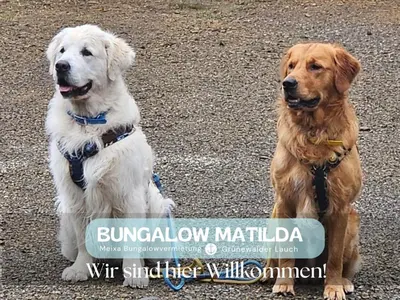 Haustiere von Gästen der Unterkunft Bungalow Matilda