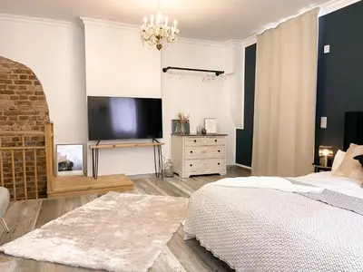 TV/Unterhaltungsangebot in der Unterkunft New Deluxe Studio Apartment in quiet back house