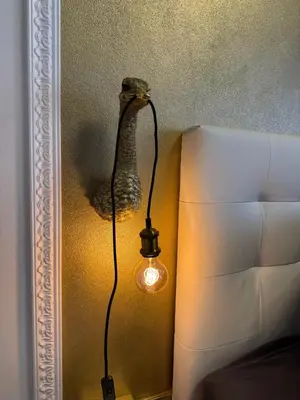 Grundriss der Unterkunft Appartement im Hinterhöfchen