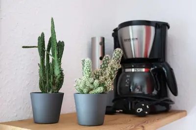 Kaffee-/Teezubehör in der Unterkunft Kleines Studio am Uni-Campus - Perfekt für junge Unternehmungslustige