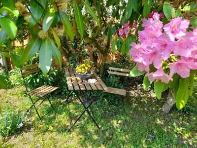Ein Garten an der Unterkunft Ferienhaus Helmig