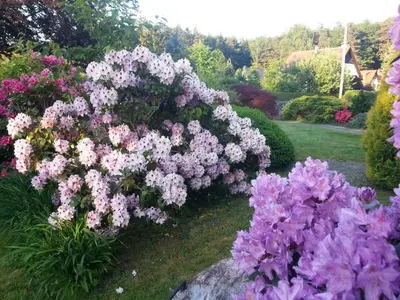 Ein Garten an der Unterkunft Ferienhaus Helmig