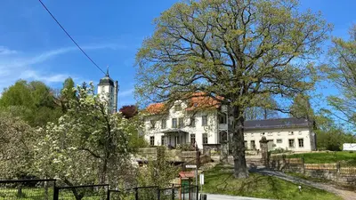 Ein Garten an der Unterkunft Altes Pfarrhaus Kurort Gohrisch - Ferienwohnungen - Gartensauna - Parkplätze