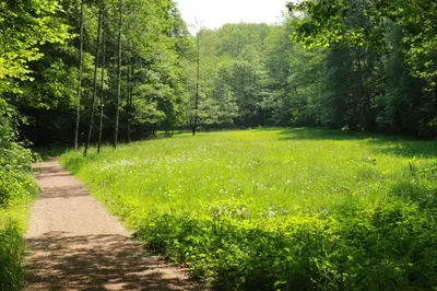 Naturlandschaft in der Nähe der Ferienwohnung
