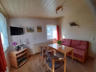 TV/Unterhaltungsangebot in der Unterkunft Falkenstein