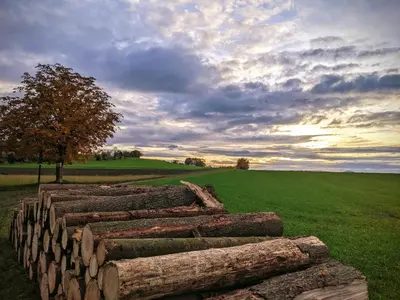 Naturlandschaft in der Nähe der Ferienwohnung