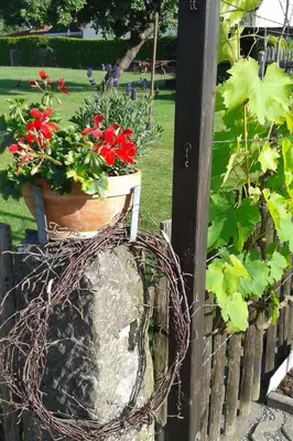 Ein Garten an der Unterkunft Ferienwohnung Schlesinger