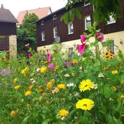Ferienwohnung in Struppen