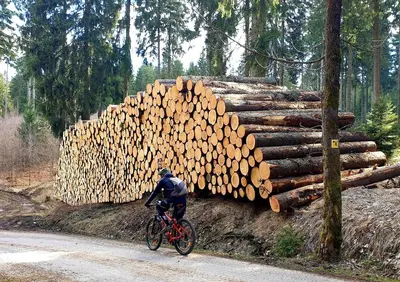 Gäste, die in der Unterkunft hutzenAlm übernachten