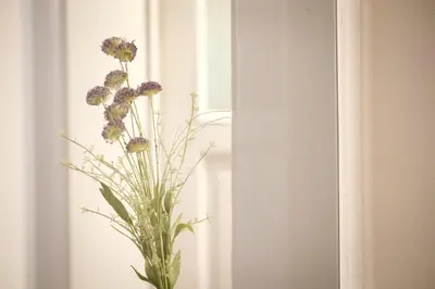 Grundriss der Unterkunft Wunderschöne Wohnung in sanierter Villa! incl WIFI