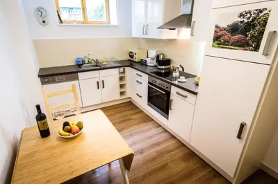 Küche/Küchenzeile in der Unterkunft Wunderschöne Wohnung in sanierter Villa! incl WIFI
