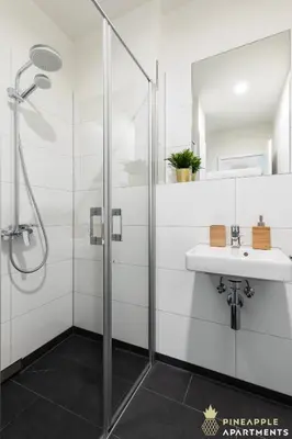 Ein Badezimmer in der Unterkunft PINEAPPLE APARTMENTS - Penthouse am Zwinger - 162qm - 1x free parking