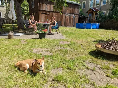 Haustiere von Gästen der Unterkunft H2 - Urlaubsmagie - Garten, Pool, Terrasse, Grill