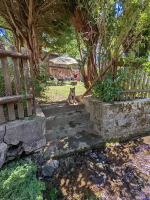 Ein Garten an der Unterkunft H5 - Urlaubsmagie - Wohlfühloase mit Pool