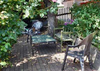 Ein Garten an der Unterkunft FeWo Dorn OG Haus Sandsteinliebe