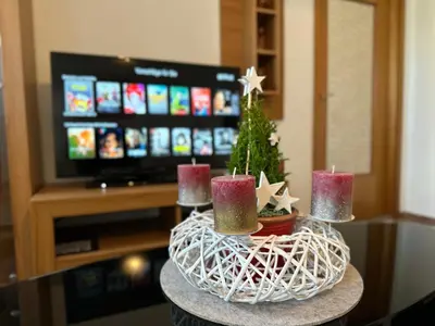 TV/Unterhaltungsangebot in der Unterkunft Gemütliche Wohnung in Grünhainichen Erzgebirge