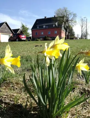 Ein Garten an der Unterkunft Ferienwohnung Zum Ausblick