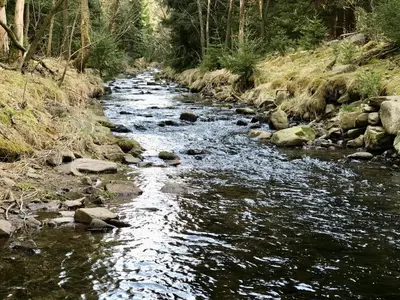 Naturlandschaft in der Nähe des Ferienhauses