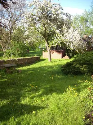 Ein Garten an der Unterkunft Schwalbennest Kaisitz