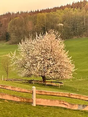 Naturlandschaft in der Nähe des Ferienhauses