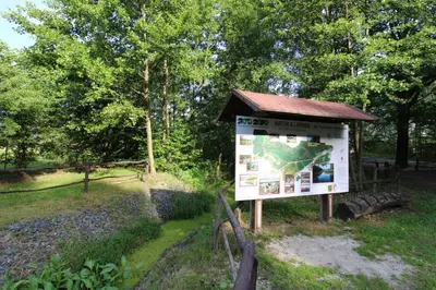 Naturlandschaft in der Nähe der Ferienwohnung