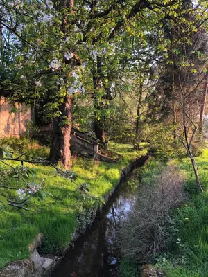Naturlandschaft in der Nähe der Ferienwohnung