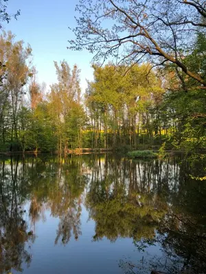 Naturlandschaft in der Nähe der Ferienwohnung